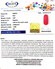 2.05/CT Natural Italian Moonga